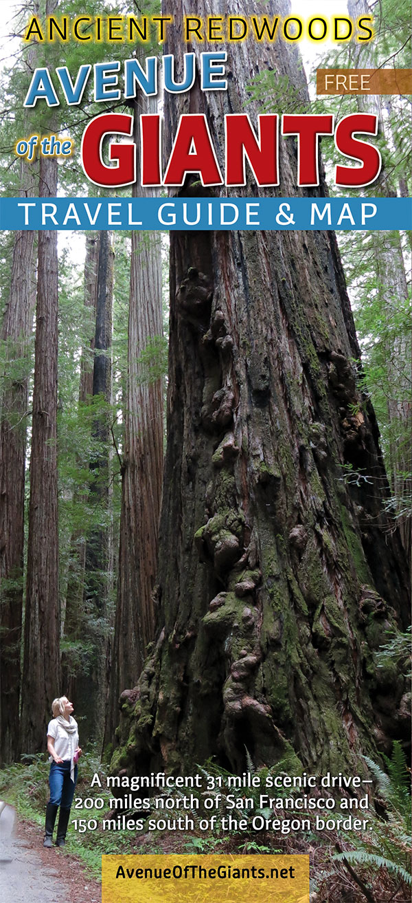 Travel Brochure | Humboldt County, CA