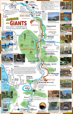 Avenue of the Giants Map & Guide | Avenue Of The Giants